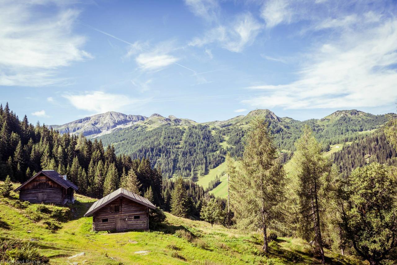 Hotel Alpenrose Zauchensee Kültér fotó
